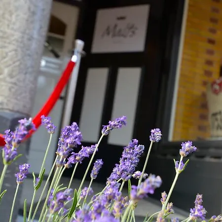 Malts Hotel 3*