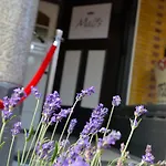 ベッド＆ブレックファースト モルツ ホテル 3*